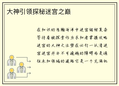 大神引领探秘迷宫之巅